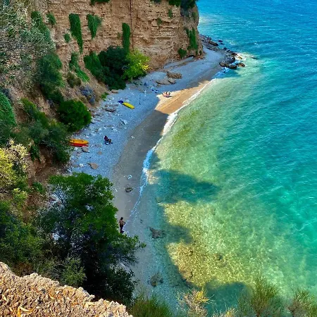 Pasithea زيروبيغادو